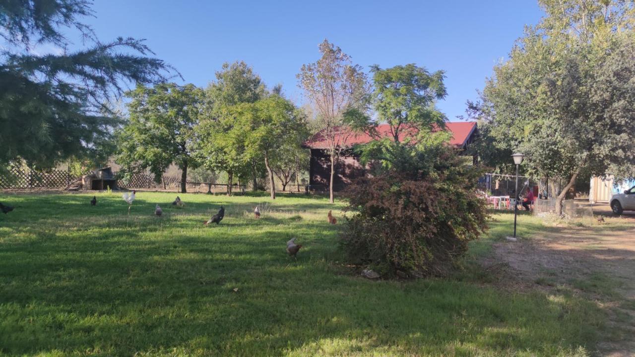 Casas Rurales Tabla Honda El Robledo  Exterior foto
