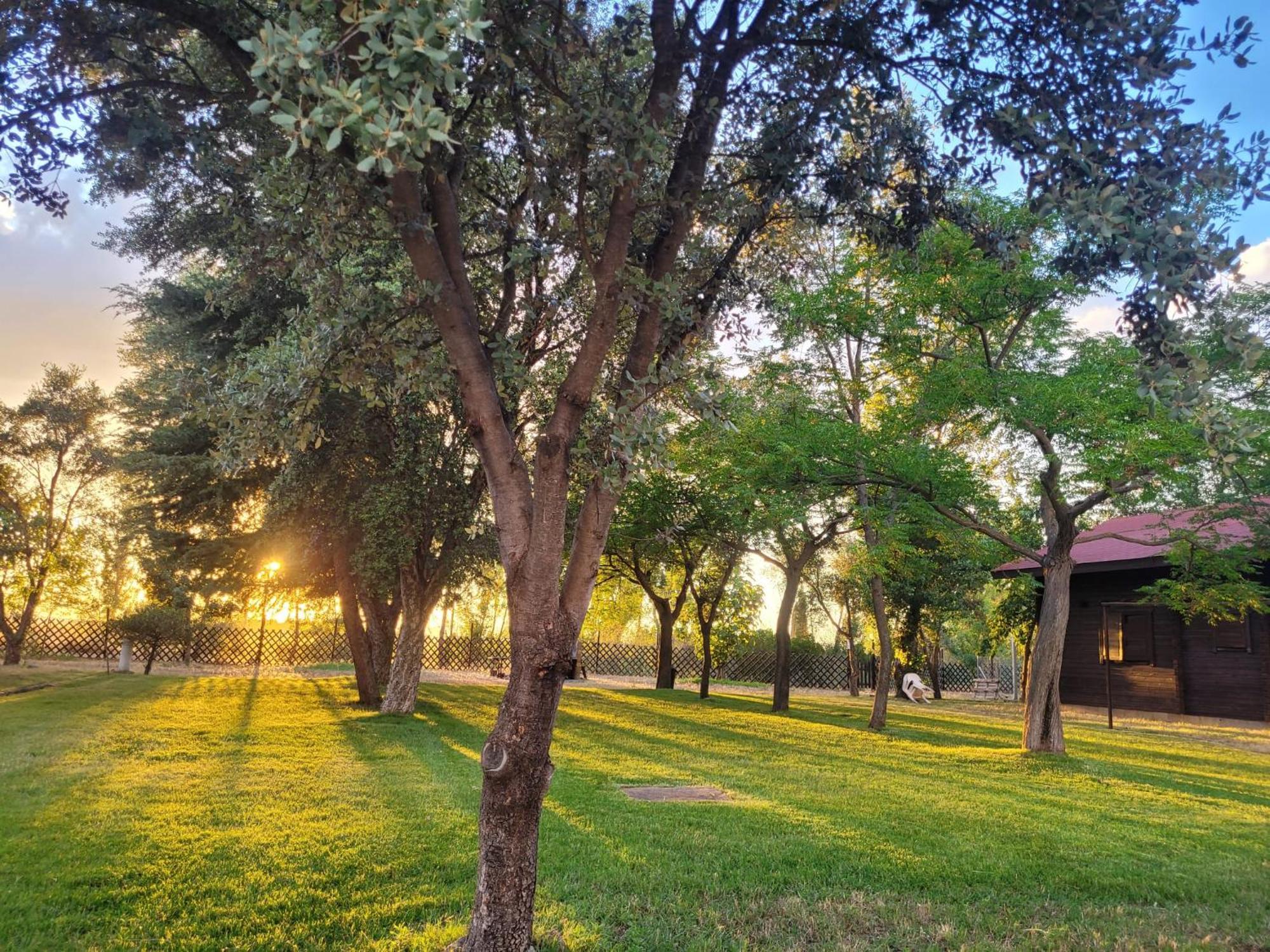 Casas Rurales Tabla Honda El Robledo  Exterior foto